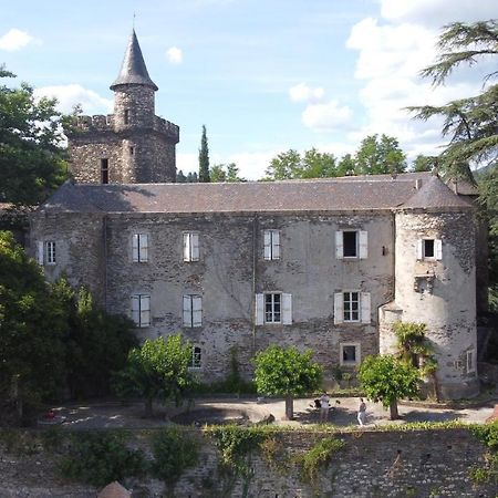 Le Chateau De Cambiaire Saint-Etienne-Vallee-Francaise Exteriér fotografie