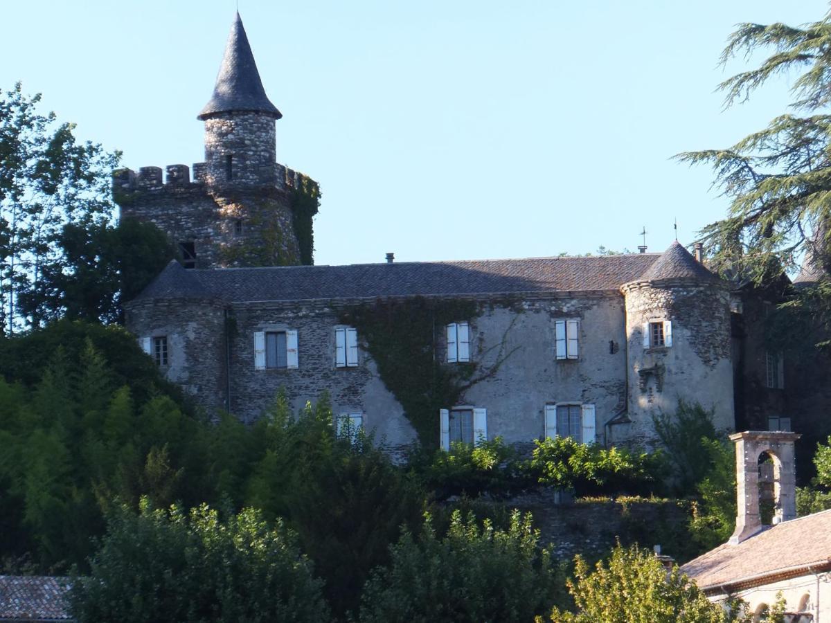 Le Chateau De Cambiaire Saint-Etienne-Vallee-Francaise Exteriér fotografie