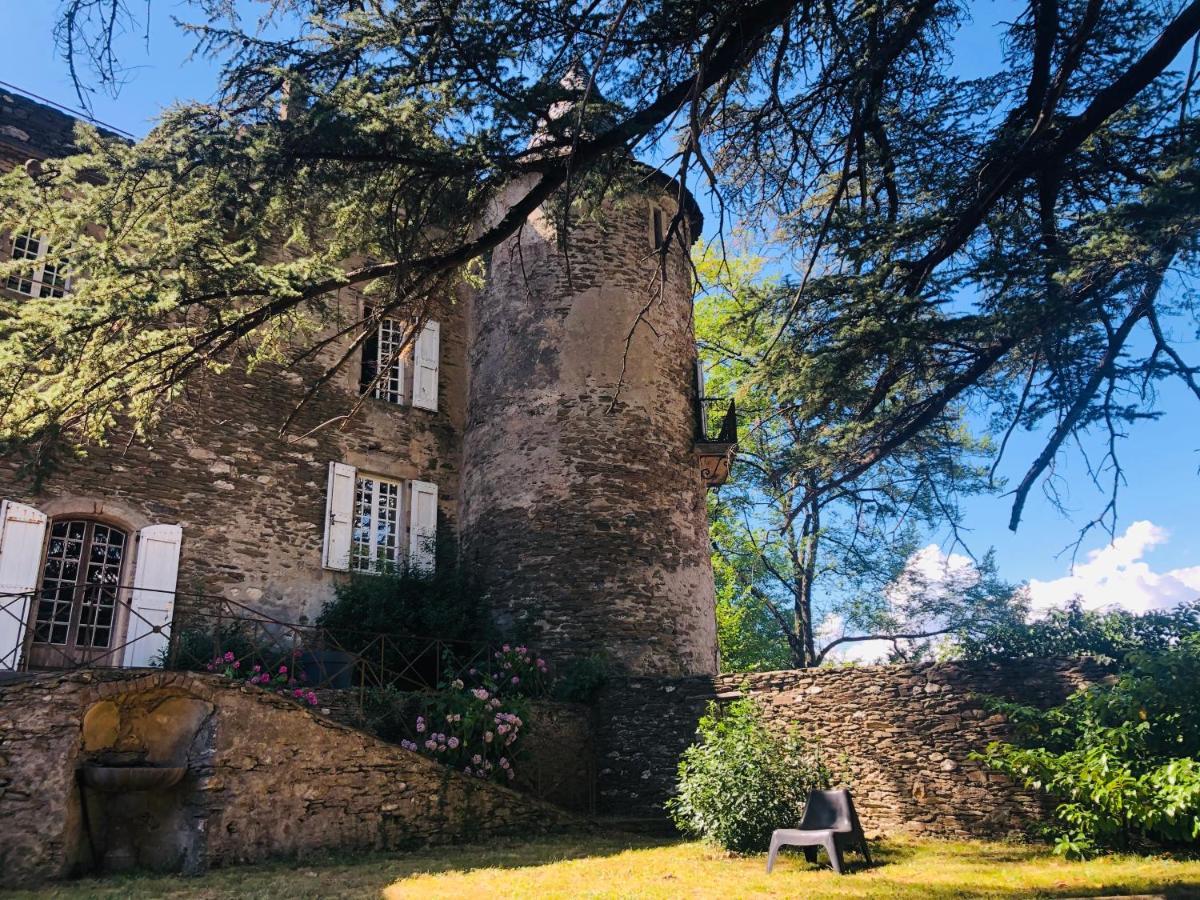 Le Chateau De Cambiaire Saint-Etienne-Vallee-Francaise Exteriér fotografie