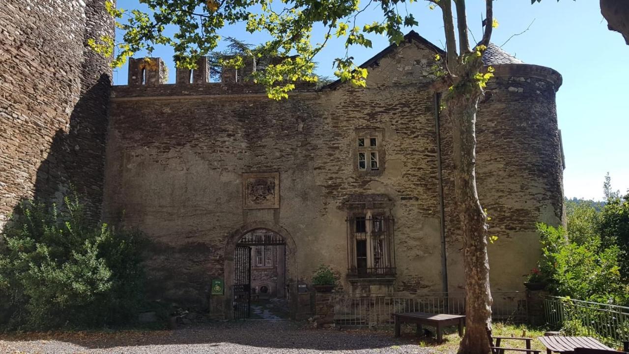 Le Chateau De Cambiaire Saint-Etienne-Vallee-Francaise Exteriér fotografie