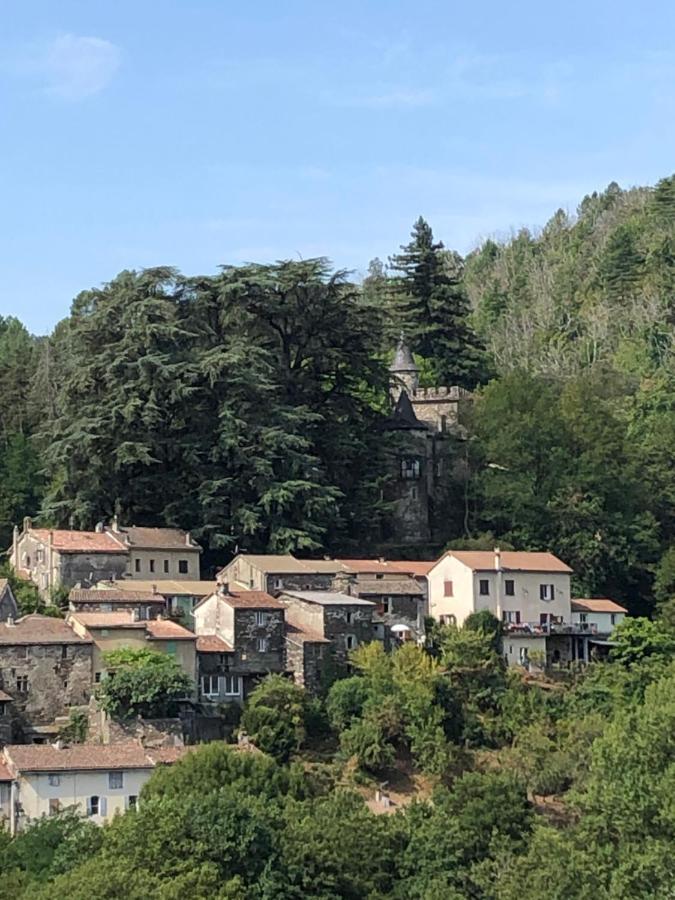Le Chateau De Cambiaire Saint-Etienne-Vallee-Francaise Exteriér fotografie