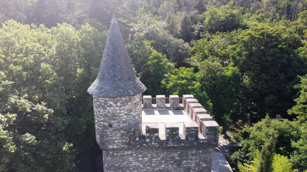 Le Chateau De Cambiaire Saint-Etienne-Vallee-Francaise Exteriér fotografie