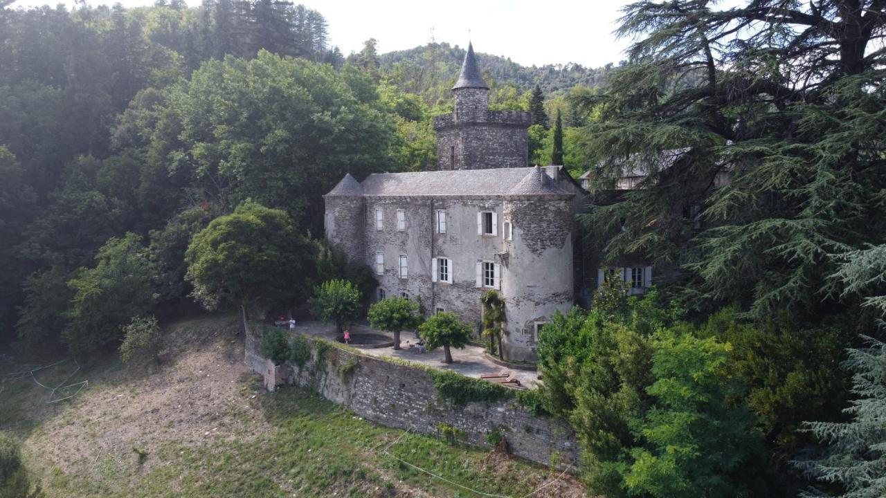 Le Chateau De Cambiaire Saint-Etienne-Vallee-Francaise Exteriér fotografie